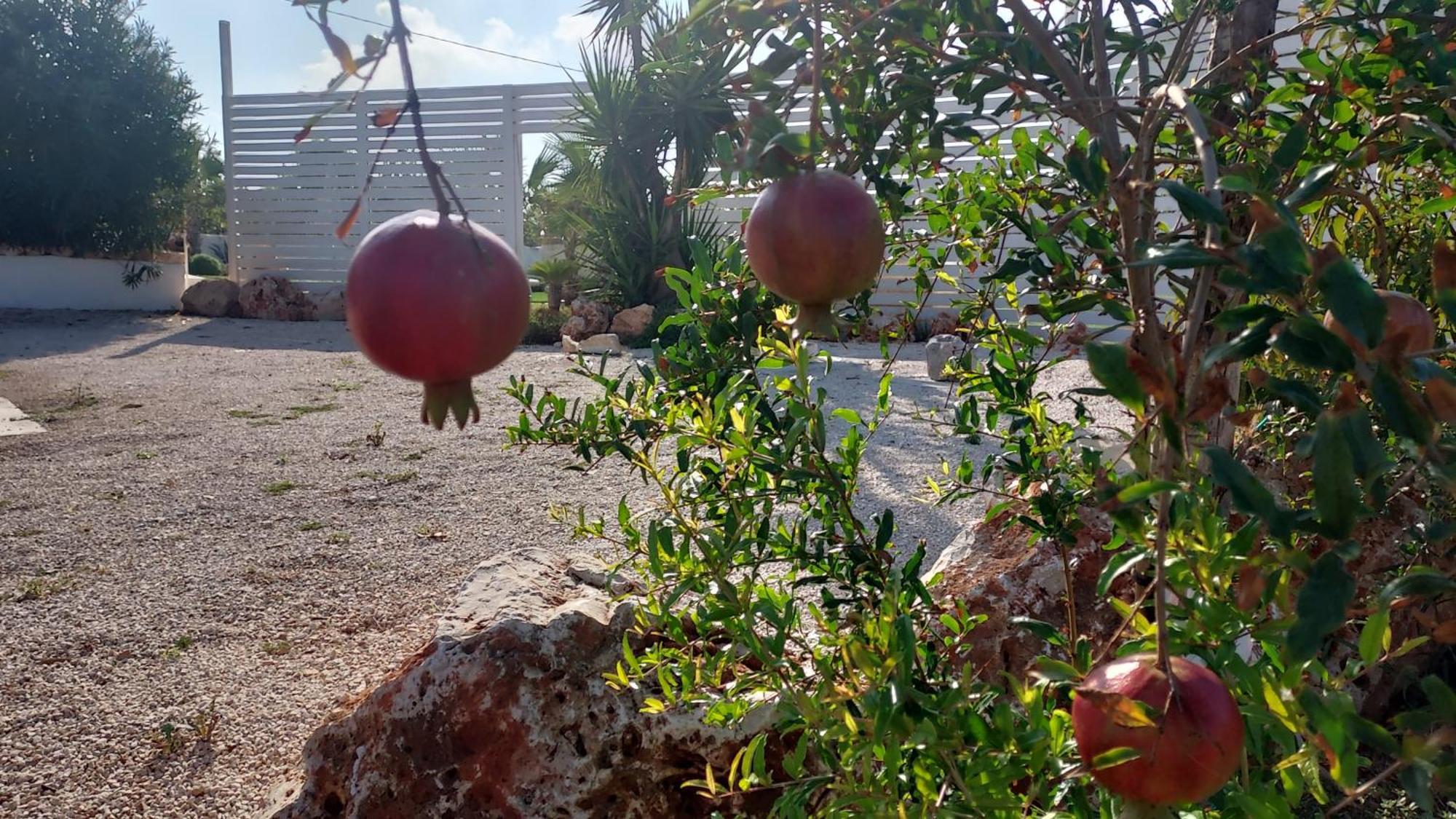 טורה קאנה Villa Capitani מראה חיצוני תמונה